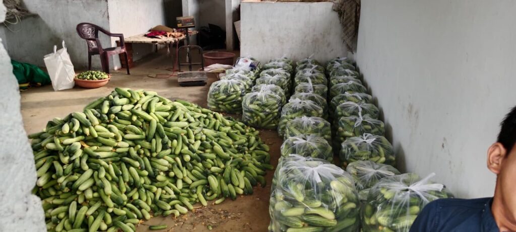 whatsapp image 2025 11 20 at 2.52.20 pm (1)