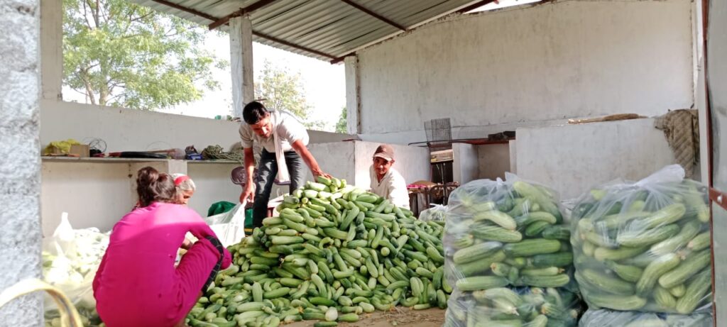 whatsapp image 2025 11 20 at 2.52.20 pm